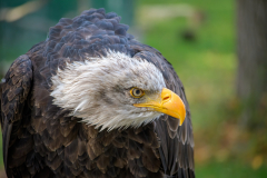 500_0761-Bearbeitet
